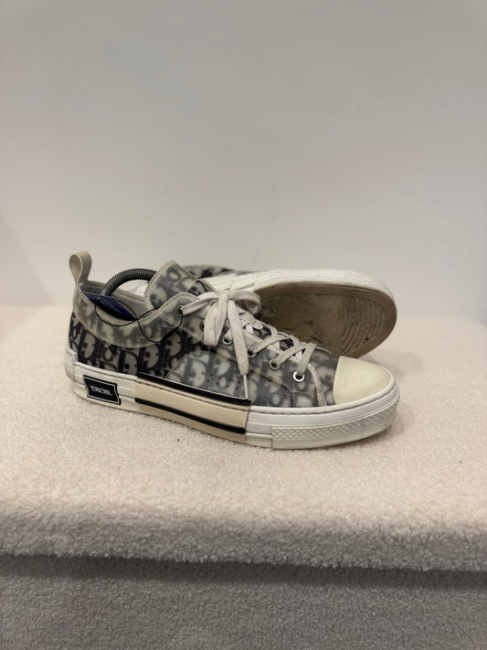 Dior B23 Low Oblique Grey (44)