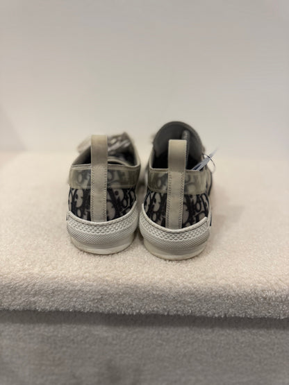 Dior B23 Low Oblique Grey (44)