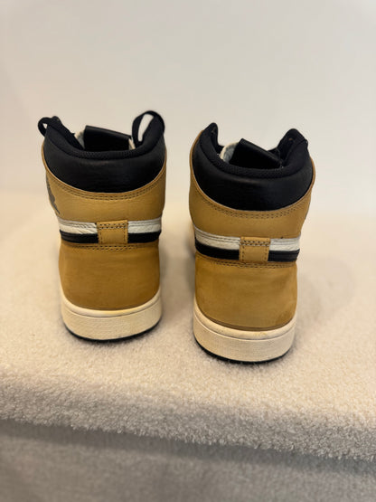 Air Jordan 1 Retro High OG Rookie of the Year (44)