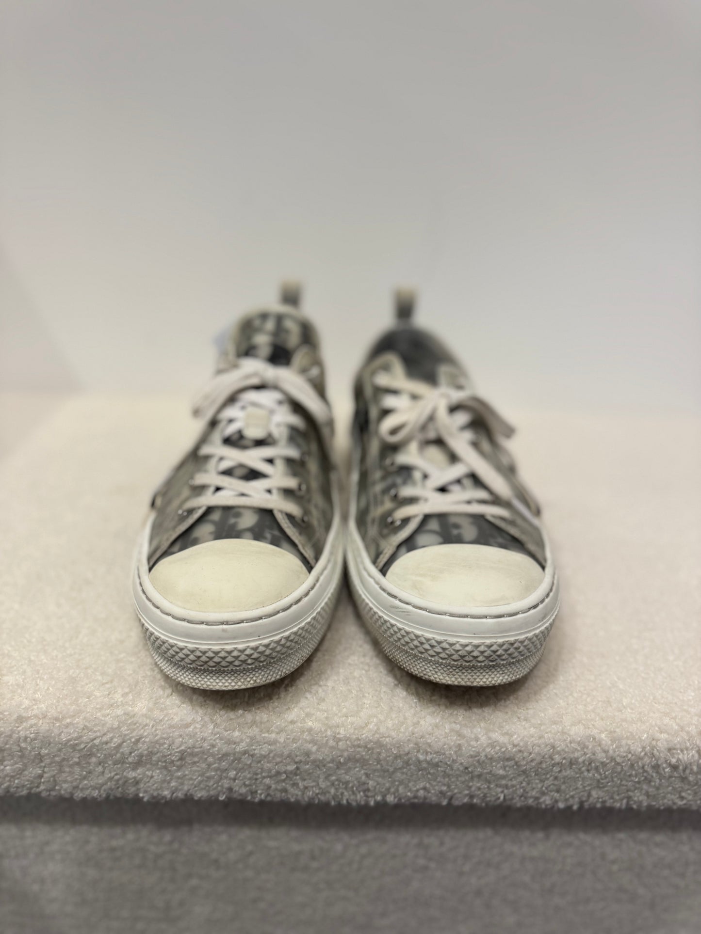 Dior B23 Low Oblique Grey (44)