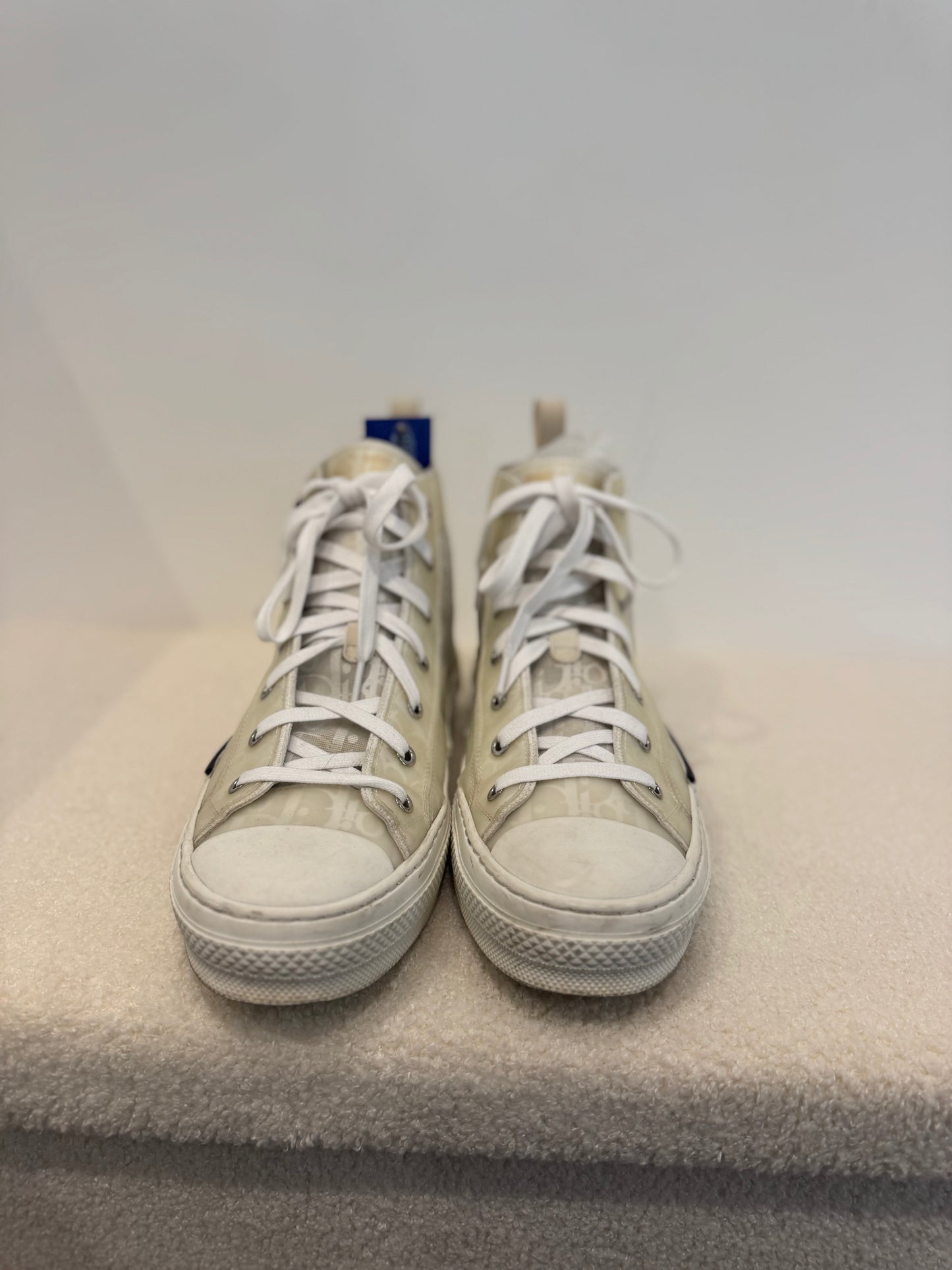 Dior B23 High Oblique Transparent White/White (43)