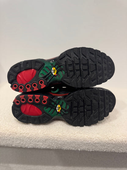 Nike Air Max Plus "Africa" (44)