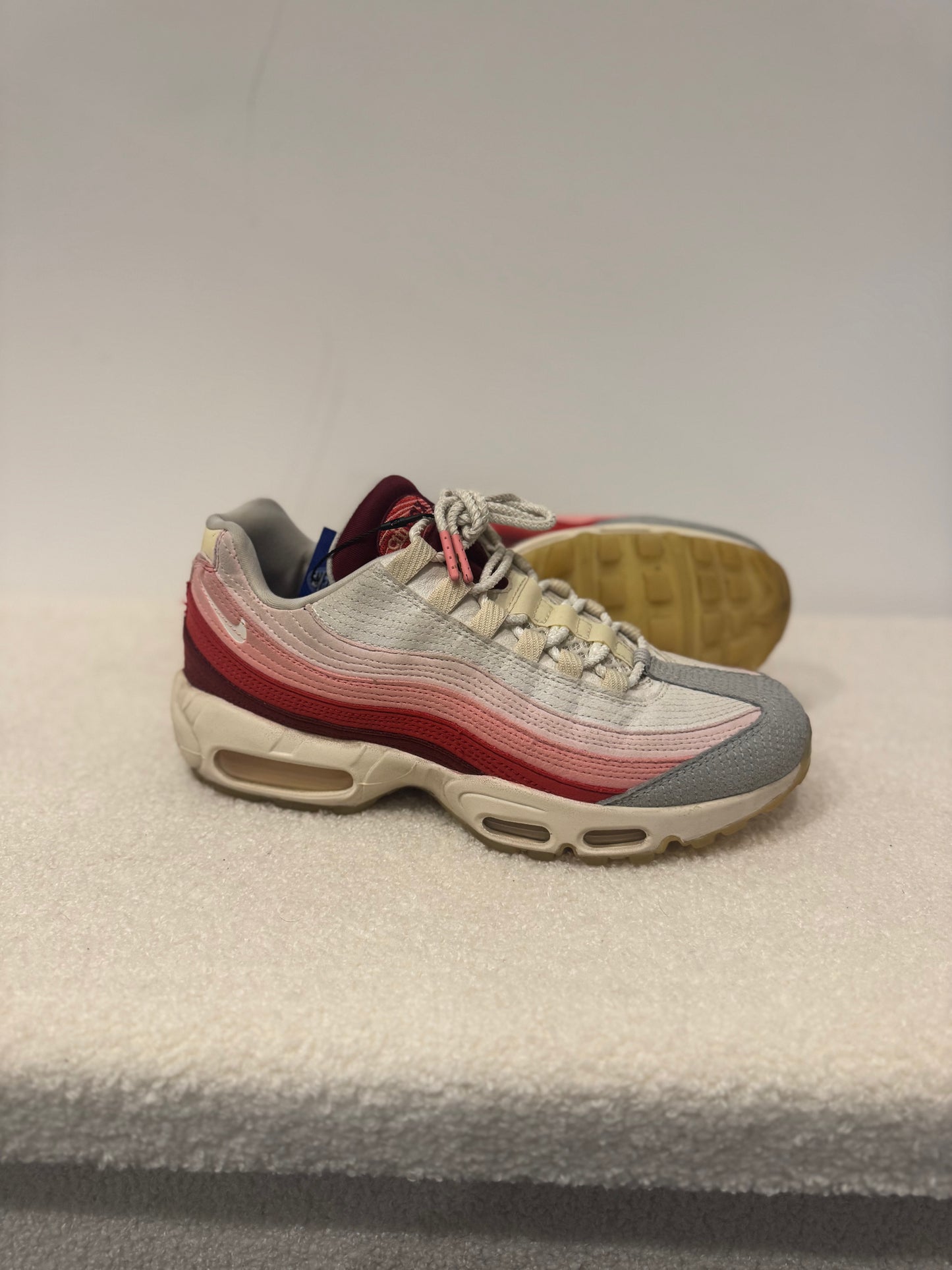 Nike Air Max 95 “Anatomy of Air” (40,5)