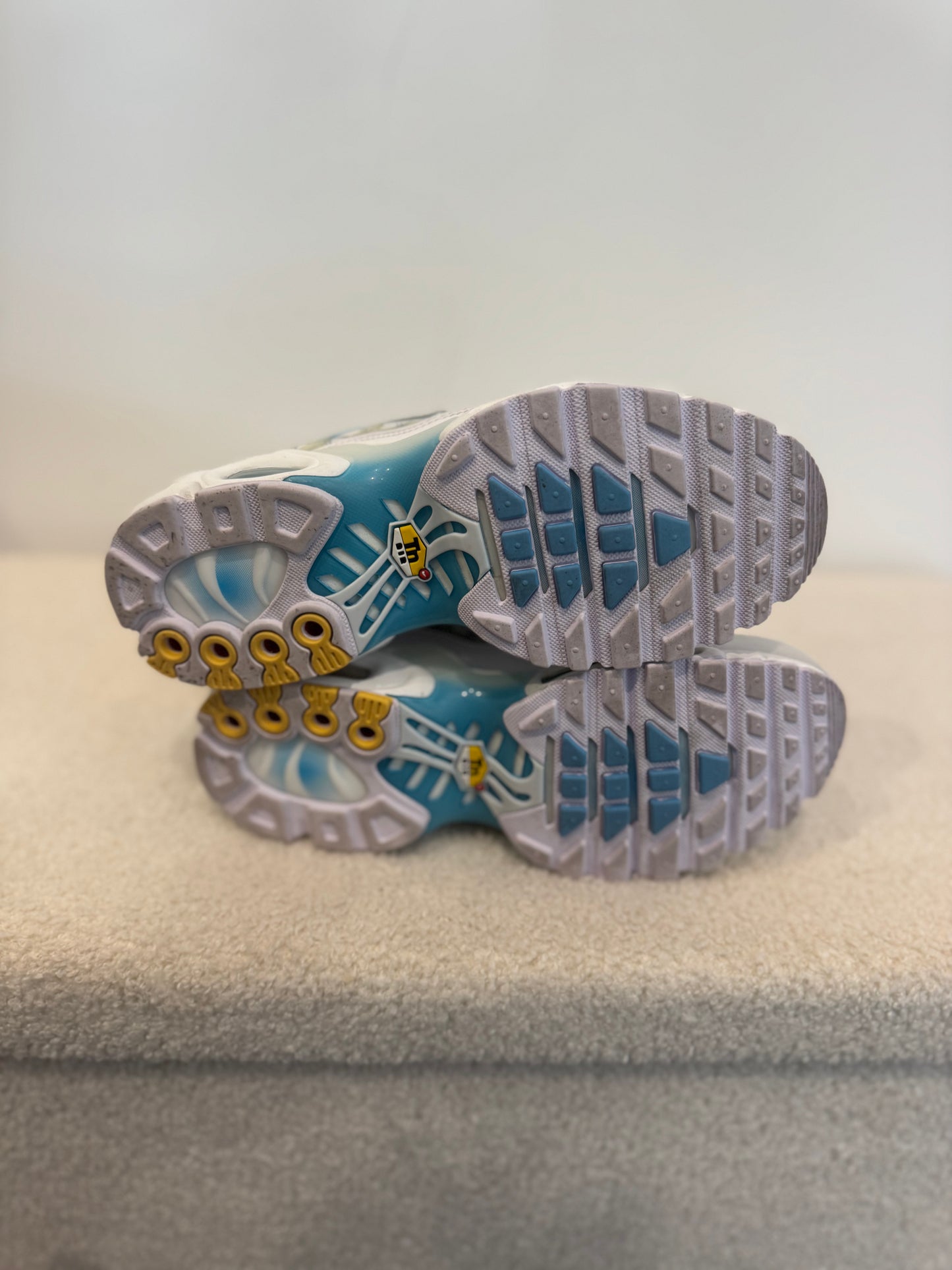 Nike Air Max Plus “Marseille” (38)