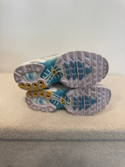 Nike Air Max Plus “Marseille” (38)