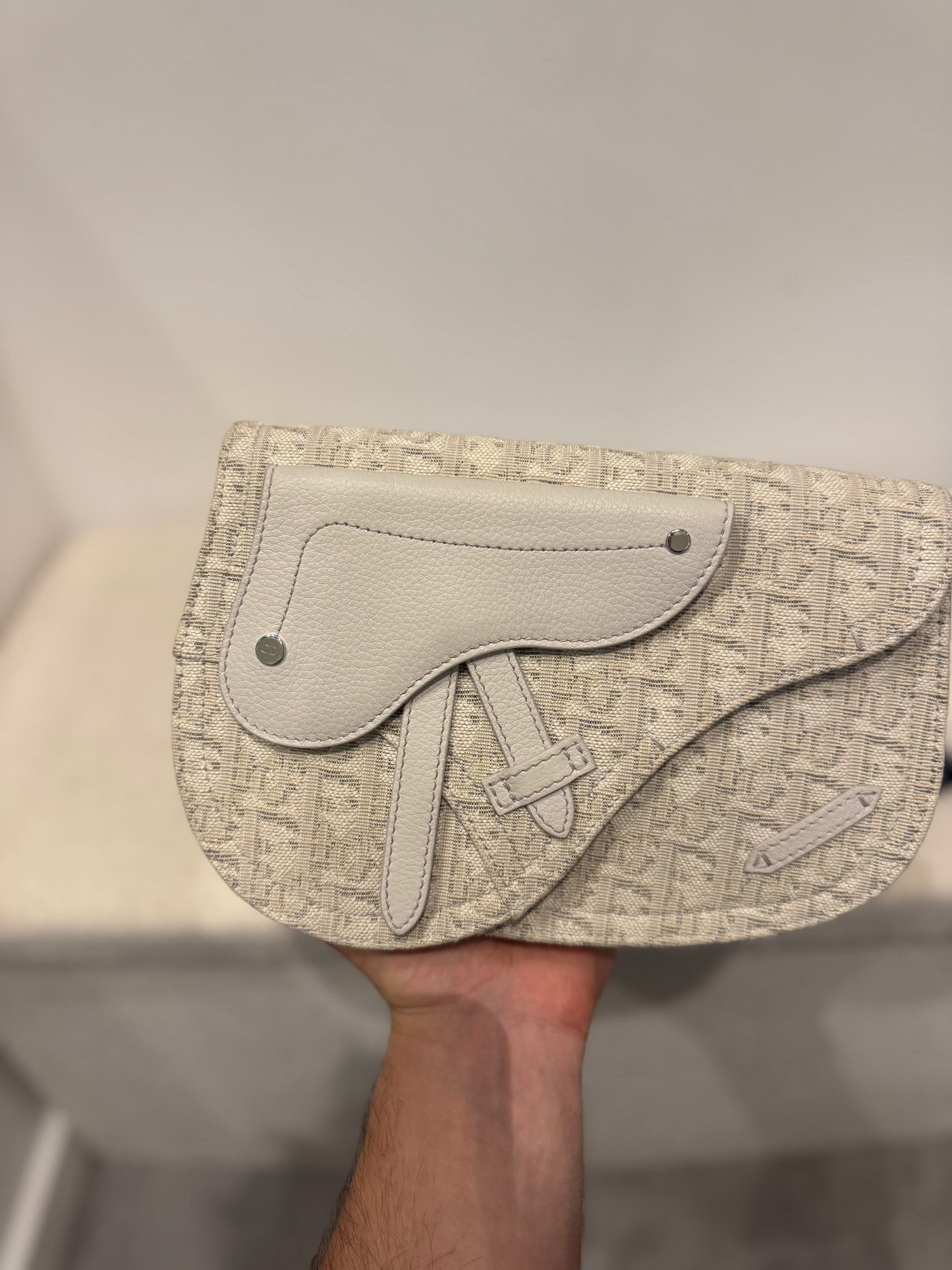 Dior Saddle Pouch Oblique Beige