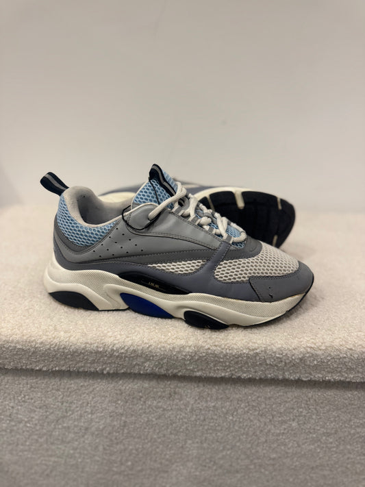 Dior B22 Grey / Blue (44)