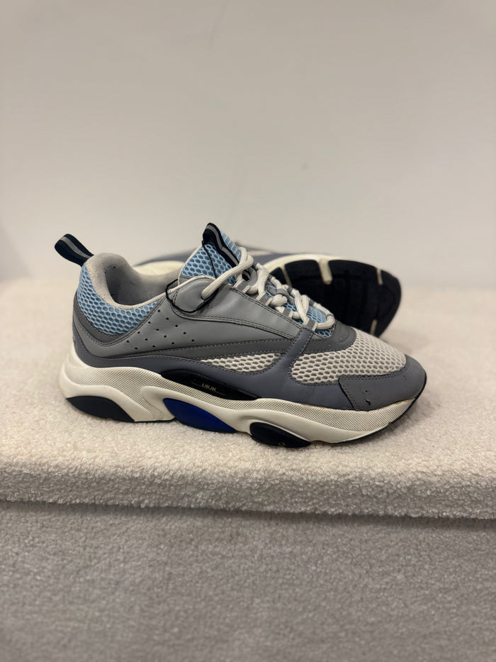 Dior B22 Grey / Blue (44)