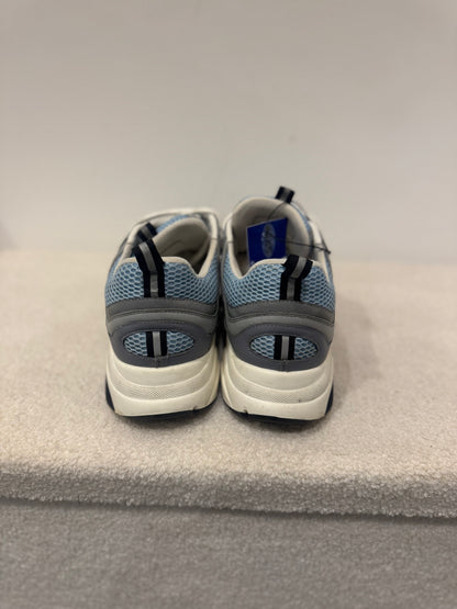 Dior B22 Grey / Blue (44)